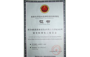 ?；钒踩珮藴驶C書